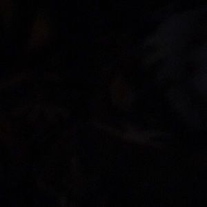 trade for @poshfashion95